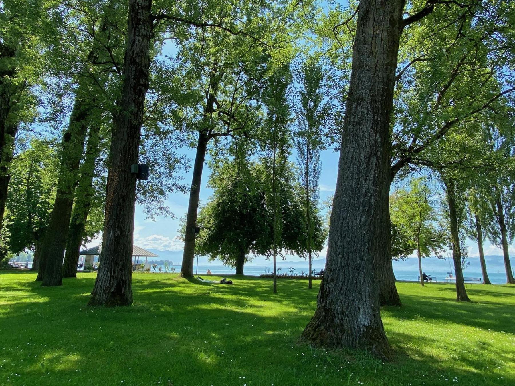 Ferienwohnung Galerie Rosenstrasse Kressbronn am Bodensee Dış mekan fotoğraf
